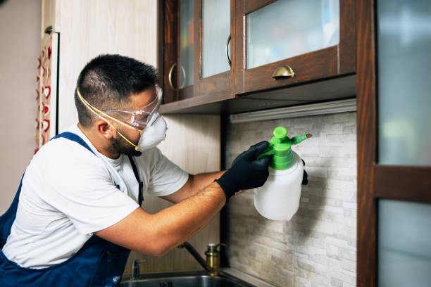 Best Emergency Pest Control  in Beverly Hills, FL