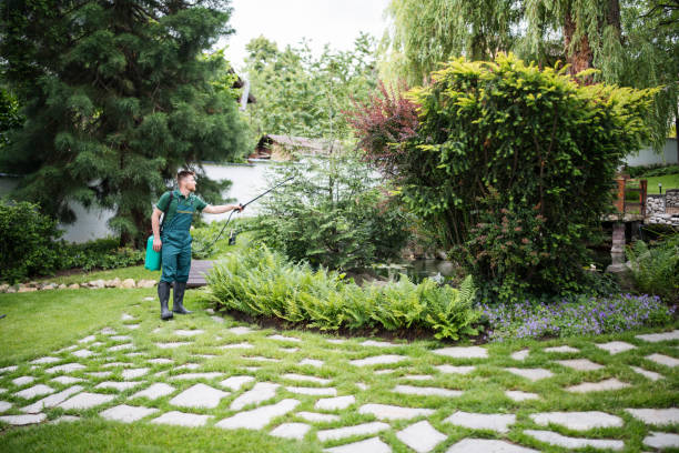 Best Best Pest Control Companies  in Beverly Hills, FL