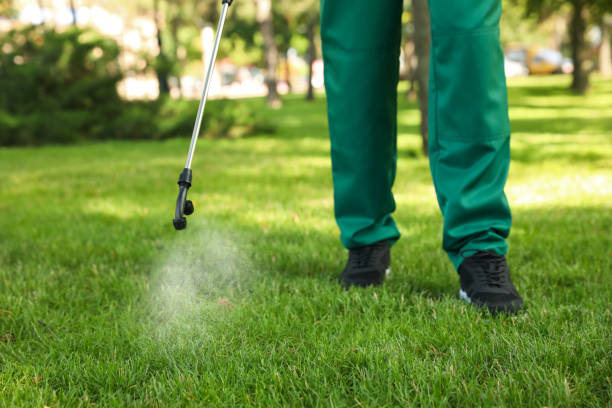 Best Pest Removal Services  in Beverly Hills, FL