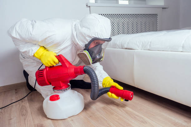Best Spider Control Near Me  in Beverly Hills, FL