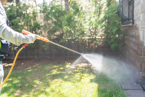 Best Rat Extermination Near Me  in Beverly Hills, FL