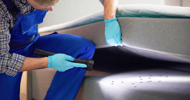 Best Wildlife Control Services  in Beverly Hills, FL