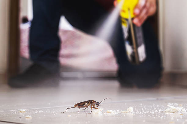 Best Residential Pest Control  in Beverly Hills, FL
