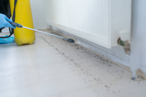 Best Pest Control Near Me  in Beverly Hills, FL