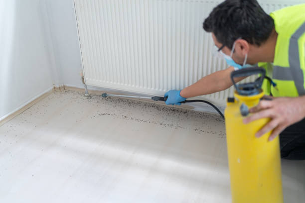 Best Pest Control for Restaurants  in Beverly Hills, FL