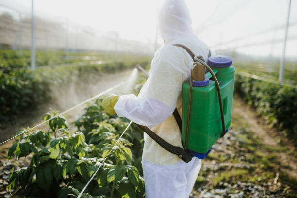 Best Pest Prevention Services  in Beverly Hills, FL